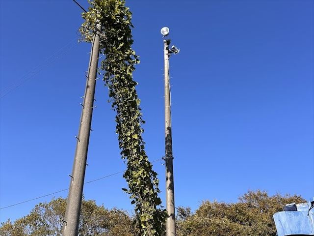 施設向け照明 LED化工事（工場・倉庫・店舗）